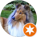 sleepingMadzi profile picture